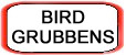 Bird Grubbens